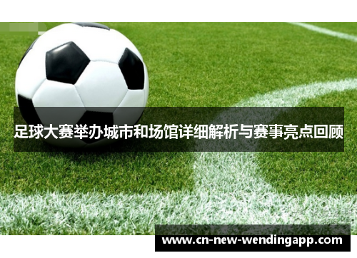 足球大赛举办城市和场馆详细解析与赛事亮点回顾