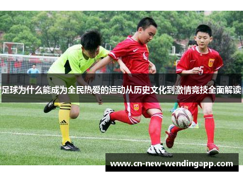 足球为什么能成为全民热爱的运动从历史文化到激情竞技全面解读
