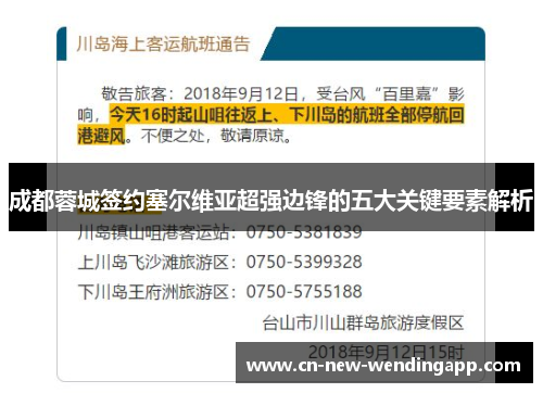 成都蓉城签约塞尔维亚超强边锋的五大关键要素解析