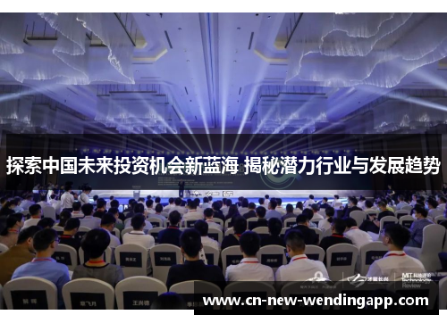 探索中国未来投资机会新蓝海 揭秘潜力行业与发展趋势