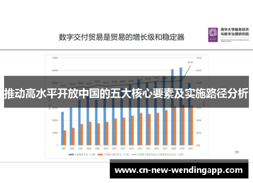 推动高水平开放中国的五大核心要素及实施路径分析