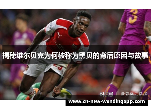 揭秘维尔贝克为何被称为黑贝的背后原因与故事