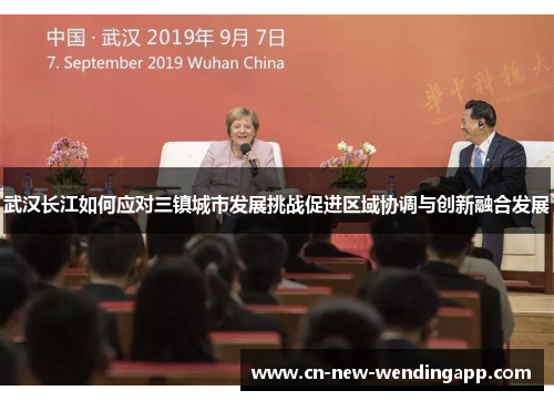 武汉长江如何应对三镇城市发展挑战促进区域协调与创新融合发展