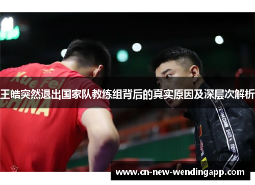 王皓突然退出国家队教练组背后的真实原因及深层次解析