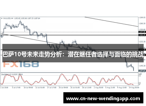 巴萨10号未来走势分析：潜在继任者选择与面临的挑战