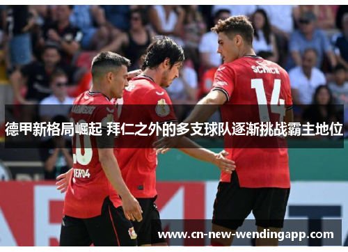 德甲新格局崛起 拜仁之外的多支球队逐渐挑战霸主地位