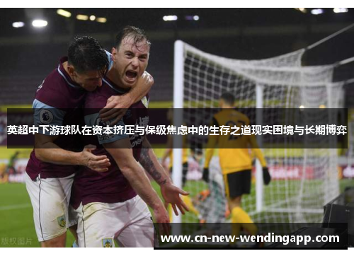 英超中下游球队在资本挤压与保级焦虑中的生存之道现实困境与长期博弈